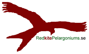 Visit Red Kite Pelargoniums
